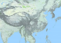 中国地形图5亿像素
